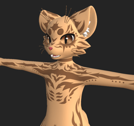 Mayu Texture