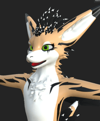Rex Texture