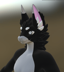 Cat Druffle Texture