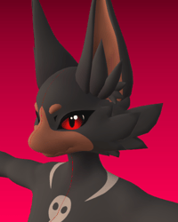  Nova Texture