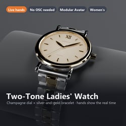 Ladies' Watch, Two-Tone Bracelet and Champagne Dial - Real Time | VRChat