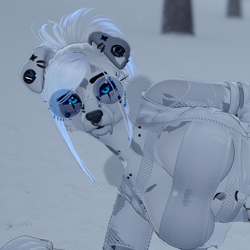 white wolf POM