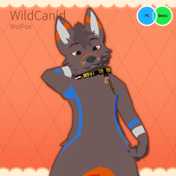 WildCanid - VRChat Avatar