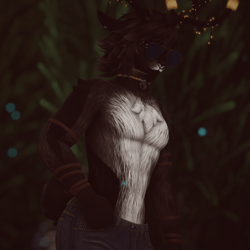 Owen - Elliot Foxipaws