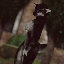 Ebony - Druffle by LunarArray