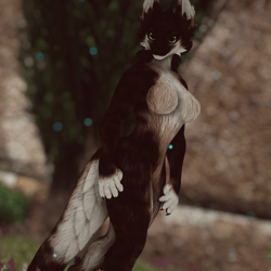 Leaf - Druffle by LunarArray