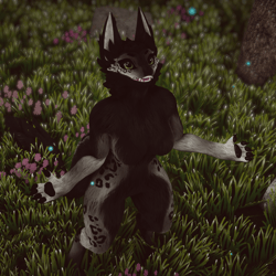 Vanta - Druffle by LunarArray