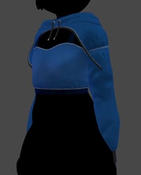Hoodie and Shirt for Biscotti base