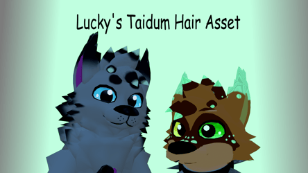 Lucky's Taidum Hair