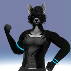 Midnight - Dante Foxipaws