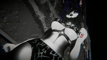 ☾︎𝑨𝑰𝑲𝑨☽︎ (PC+Q)