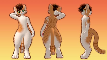 Tabby Orange Cat