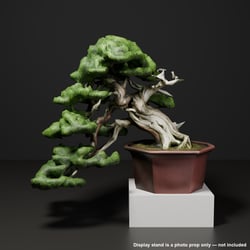 Japanese Bonsai - Shinpaku Juniper with Twisted Deadwood Trunk | VRChat World Prop