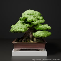 Japanese Bonsai - Black Pine in Formal Upright Style | VRChat World Prop (Free)
