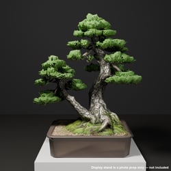 Japanese Bonsai - White Pine in Twin Trunk (Aioi) Style | VRChat World Prop