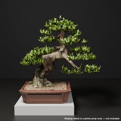 Japanese Bonsai - Black Pine with Crouching-Dragon (Garyu) Trunk | VRChat World Prop