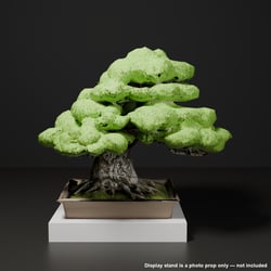 Japanese Bonsai - Black Pine in Curved-Trunk (Moyogi) Style | VRChat World Prop