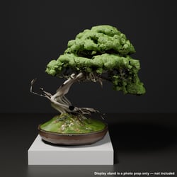 Japanese Bonsai - Shinpaku Juniper with Exposed Roots and Deadwood (Neagari + Shari) | VRChat World Prop