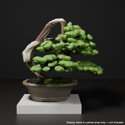 Japanese Bonsai - Shimpaku Juniper with Deadwood and Living Vein | VRChat World Prop