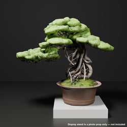 Japanese Bonsai - Black Pine with Twisting Exposed Roots (Banryu) | VRChat World Prop