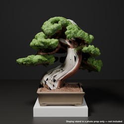 Japanese Bonsai - Shimpaku Juniper with White Deadwood (Shirotae) | VRChat World Prop