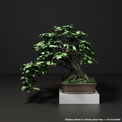 Japanese Bonsai - Japanese Maple with Fresh Green Summer Foliage (Hekiun) | VRChat World Prop
