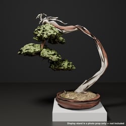 Japanese Bonsai - Large Windswept Shimpaku Juniper (Hagoromo) | VRChat World Prop
