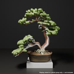 Japanese Bonsai - Large Shimpaku Juniper Twin Trunk with Shari (Hiyoku) | VRChat World Prop