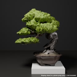 Japanese Bonsai - Large Black Pine with Jin Branch (Ginrei) | VRChat World Prop