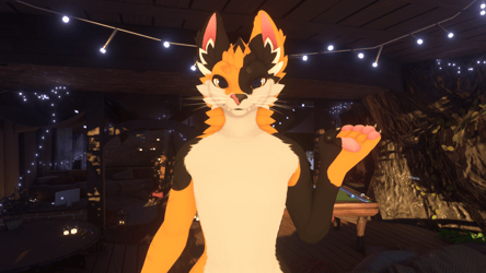 Calico Cat Druffle Texture