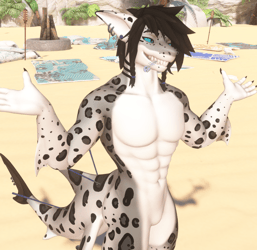 (Snow) Leopard Shark - Shawn the Shark