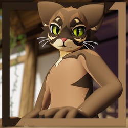 Tabby Mayu Texture