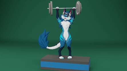 Gym Weight Pack