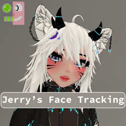 Nawoo Jerry's Face Tracking Add-On
