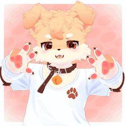 Puruwuff |  Furry Dog Avatar [VRChat / VRM]