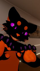 Haloweenie Mayu Texture