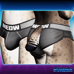 [AVW] WP Feline ProBriefs