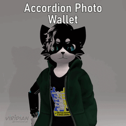 Accordion Photo Wallet