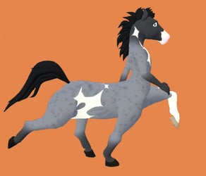 Horse furry horse centaur