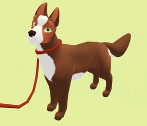 Dog 2.0