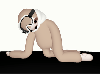 Sloth