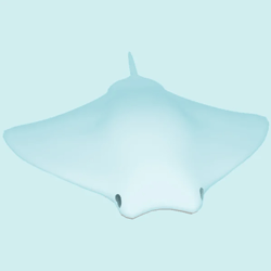 Sting Ray 