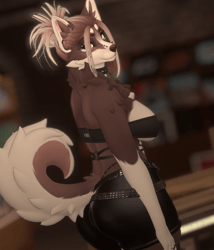 Brown Husky - Roxy