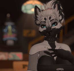 Inverted Husky - Roxy