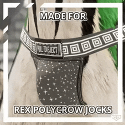 Kilo's Mix n' Match Jockstrap Pack