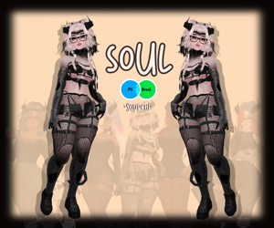 S0UL PC/Quest