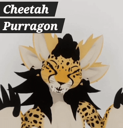 Cheetah - Purragon