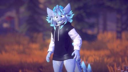 Winterbold Hoodie (VRChat Asset)