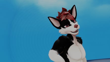 Viwi husky