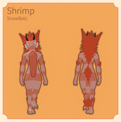 Shrimp